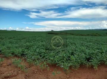 fb66912d8d30858c8b0ae2b2869eecd206308da4 · Fazenda à venda, 2250600 m² por R$ 11.000.000,00 - Centro - Guarapuava/PR
