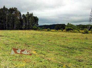 Rural , São José dos Pinhais · Chácara a Venda sem benfeitorias