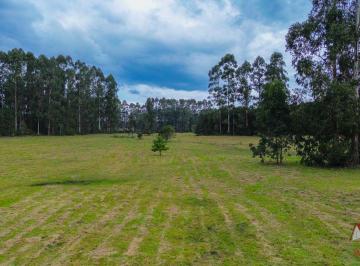 Rural 62000m² Venda Campo Largo da Roseira · Chácara a Venda sem benfeitorias