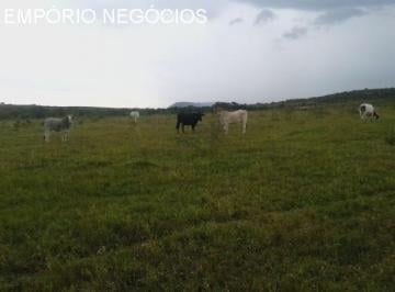 FOTO ILUSTRATIVA · Sítio venda. Empório Negócios vende para pecuária e lavoura em Monte Santo de Minas - MG.