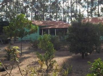 Foto 01 · Fazenda venda. Empório Negócios vende na região de Buritizeiro.