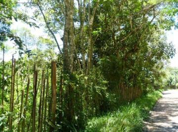 72054092.jpg · COMERCIAL - EMBU DAS ARTES