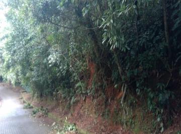 72059187.jpg · TERRENO - EMBU