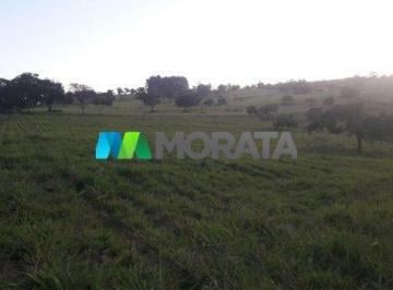 MD_imovel_4138_77897.jpg · Imoveis - na Zona Rural