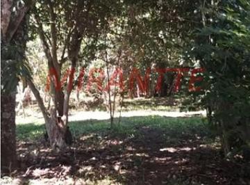 a37eab7a0130a437384d64c37f3c05bd.jpg · Terreno