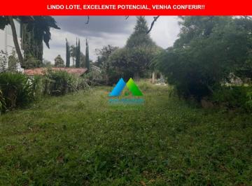Foto 04 · BAIRRO BANDEIRANTES, LOTE 1000M2, PLANO, MURADO, POMAR, PISCINA, ÁREA GOURMET.