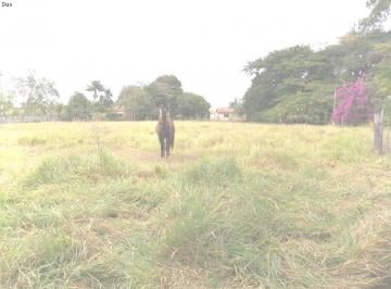 Foto 01 · Sitio, Campo do Meio, Araçoiaba da Serra, SP