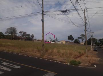 Foto 01 · Area, Jardim Soto, Catanduva, SP