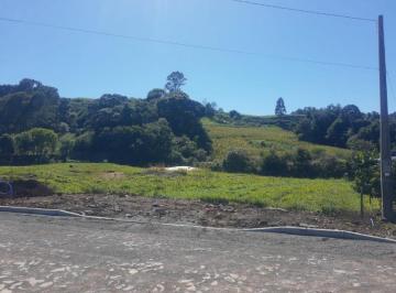 Foto 06 · Terreno com Ótimo Preço em Santa Maria do Herval