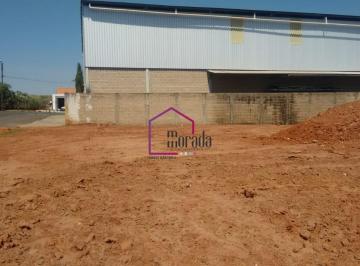Foto 01 · Terreno, Jardim Irradiação, Catanduva, SP
