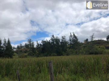 Terreno · 120000m² · Área, Vila São Paulo, Mogi das Cruzes - R$ 10 mi, Cod: 1618