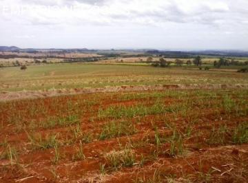 Foto 01 · Fazenda venda. Cana e pecuária. Empório Negócios vende em Cajuru - sp.