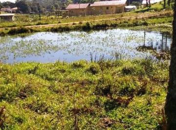 2020/08/124127520.jpg · Chácara a Venda sem benfeitorias em São José dos Pinhais