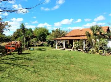 Foto 01 · SITIO 20.000 m² - PROXIMO DA CIDADE