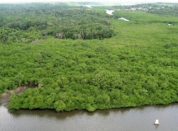 Rural , Maragogipinho · ECO Fazenda/ilha (110 has.) Nazaré das Farinhas