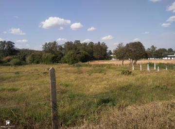 Foto 03 · Área Comercial à venda com 41.000 m² em Itupeva