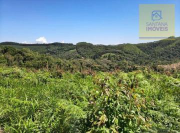 c8ba5dc1e579531e6cbdf9971f48ae478c34d42d · Chácara à venda, 159600 m² por R$ 600.000,00 - Três Córregos - Campo Largo/PR