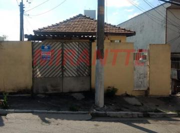 735aa3d10d6f23e29484bffe4e378d7f.jpg · Terreno de 350m²