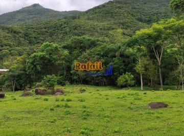 ru8fhs2ntk1zdmzntawmgy1_md · Sítio plano com riacho e natureza Venda , Santo Amaro da imperatriz - 20000m²