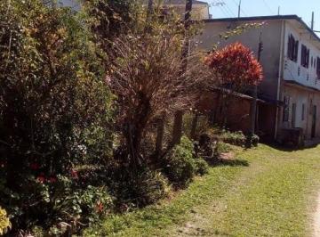 Foto 32 · Sítio à venda em Sabauna, Mogi das Cruzes-SP: Sitio com 3 casas , arvores frutíferas e uma área de 4