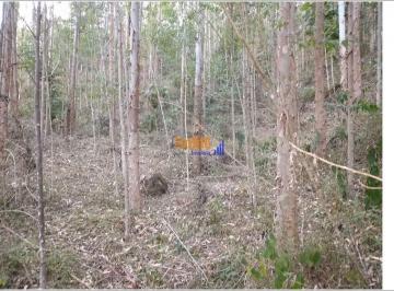 kevr5yw2ntu1mzq5ztuyzgjm_md · Terreno rural oportunidade para Venda - Centro, São Bonifácio - 180000m²