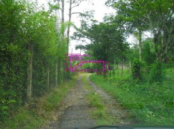 Rural · 9ha · 1 Quarto · 2 Vagas · Sítio bairro do faú Miracatu/SP