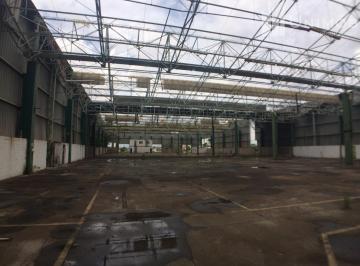 0 · galpão á venda e para aluguel em Distrito Industrial