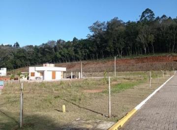 Foto 01 · Terreno, Rio Branco, São Sebastião do Caí, RS