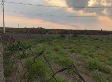 01d184d7d020d670c7420de32a48af632601635b · Terreno para alugar, 1300 m² por R$ 3.000,00/mês - Parque Universitário - Americana/SP