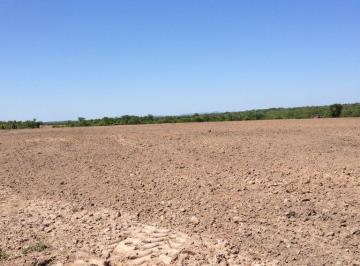 Rural , Almas · OPORTUNIDADE FAZENDA DE 5.000 HECTARES NA REGIÃO DE ALMAS-TO