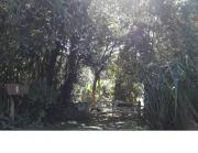 Foto 01 · Terreno - Jardim Alviverde