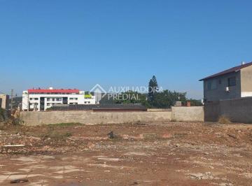 244073_i8e3A91EkX3_244073687548cf2ecf5.jpg · Terreno no bairro Tristeza.