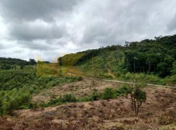 3051085-28522.jpg · Sitio em Rio dos Cedros a venda