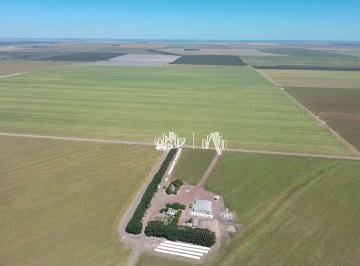 b1827a148159005b25c1a672fa017758e7dd7dd7 · Fazenda à venda, 24850000 m² por R$ 55.575.000,00 - Agrovila Nova Santa Rosa - Uruçuí/PI
