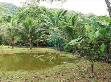 85300-IMG_20170407_WA0032_1.jpg · Terreno, Marafunda, Ubatuba - R$ 5 mi, Cod: 853