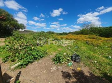 1.jpg · Terreno, 295296.43 m², em Rubem Berta