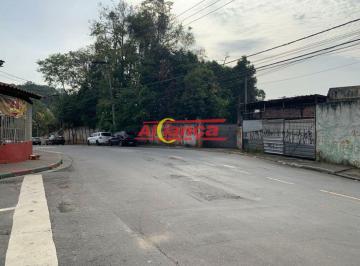 Terreno · 28942m² · ÁREA A VENDA, JARDIM BELA VISTA - GUARULHOS - SP