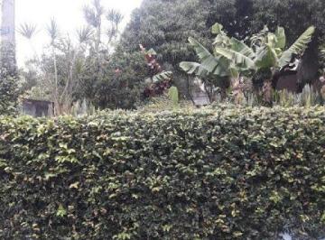 Terreno · 420m² · Terreno à venda, 420 m² por R$ 600.000 - Vila das Palmeiras - Guarulhos/SP - CÓD. TE0522