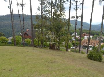 g1_1098_32828_1622_101120.JPG · TERRENO EM GRAMADO