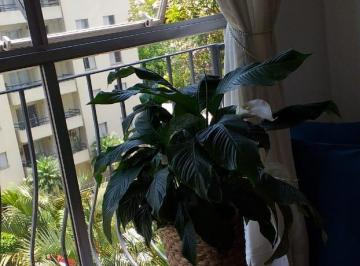 Apartamento de 3 quartos, São Paulo · APTO/03 DORMS/01 VAGA/79 MTS/CYTI AMÉRICA/EM FRENTE PARQUE TORONTO/IMPECÁVEL