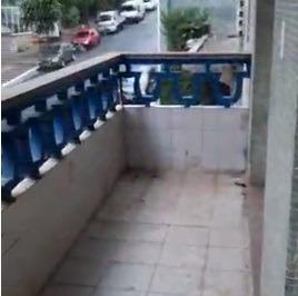 2020/11/131719036.jpg · APARTAMENTO - BELA VISTA