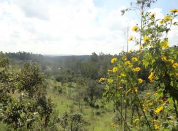 72054728.jpg · COMERCIAL - EMBU DAS ARTES