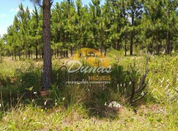 Terreno · 300m² · TERRENO PARA INVESTIMENTO