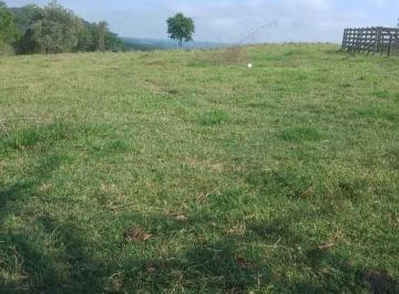 Foto 01 · Sitio 12 Alqueires FORMADA NO PASTO BOA TOPOGRAFIA TERRA DE CULTURA RIBEIRÃO AO FUNDO NÃO TEM BENF