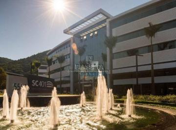 25978e78991ce9ed92f6048502b152a01dd9aa90 · Sala Comercial para locação, Saco Grande, Florianópolis - .