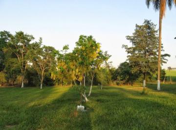 Rural · 145200m² · Chácara à venda no Centro de São Carlos-SP com 145.200m² de área - A oportunidade dos seus sonhos!