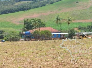 Foto 16 · Fazenda para agropecuária e agricultura toda tratoravel.