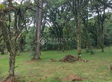 328675_iUH08YZJI9Y3T62X18fy2_3286755fd21fecc2aaa.jpg · Terreno no condomínio Altos Pinheiros em Canela