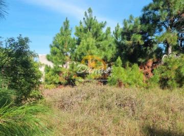Terreno · 150m² · Meio lote à venda em Nova Tramandaí