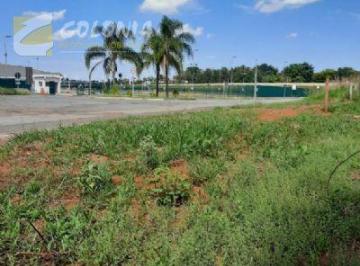 41529.003 · Terreno a venda - Graminha
